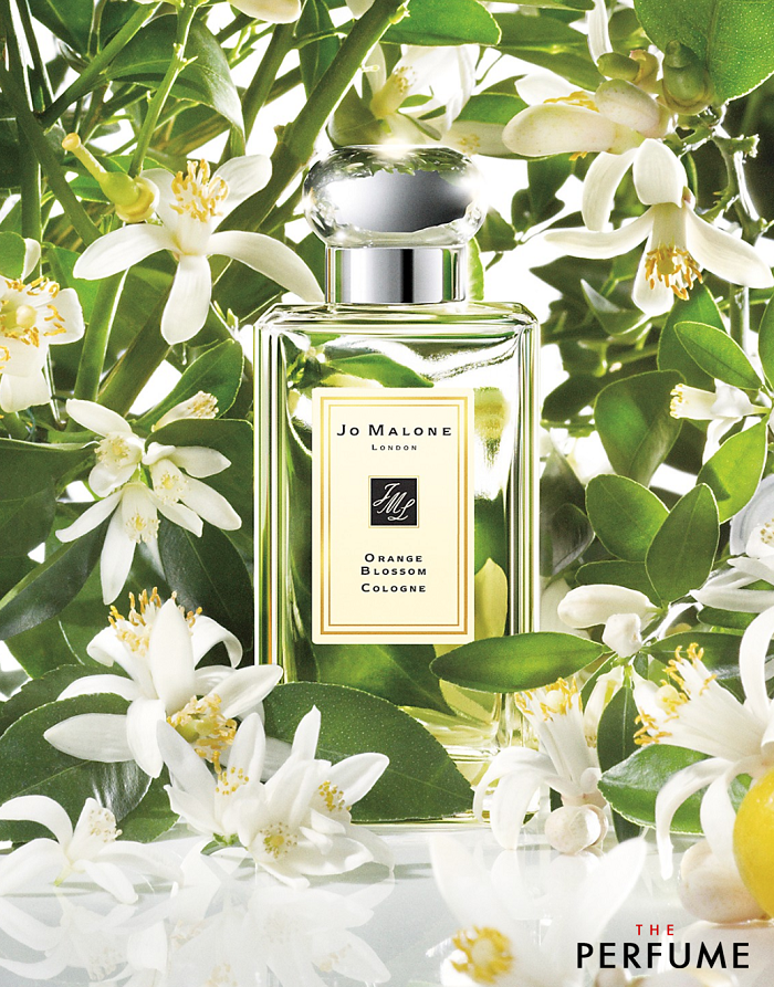 Nước hoa Jo Malone Orange Blossom Eau De Cologone